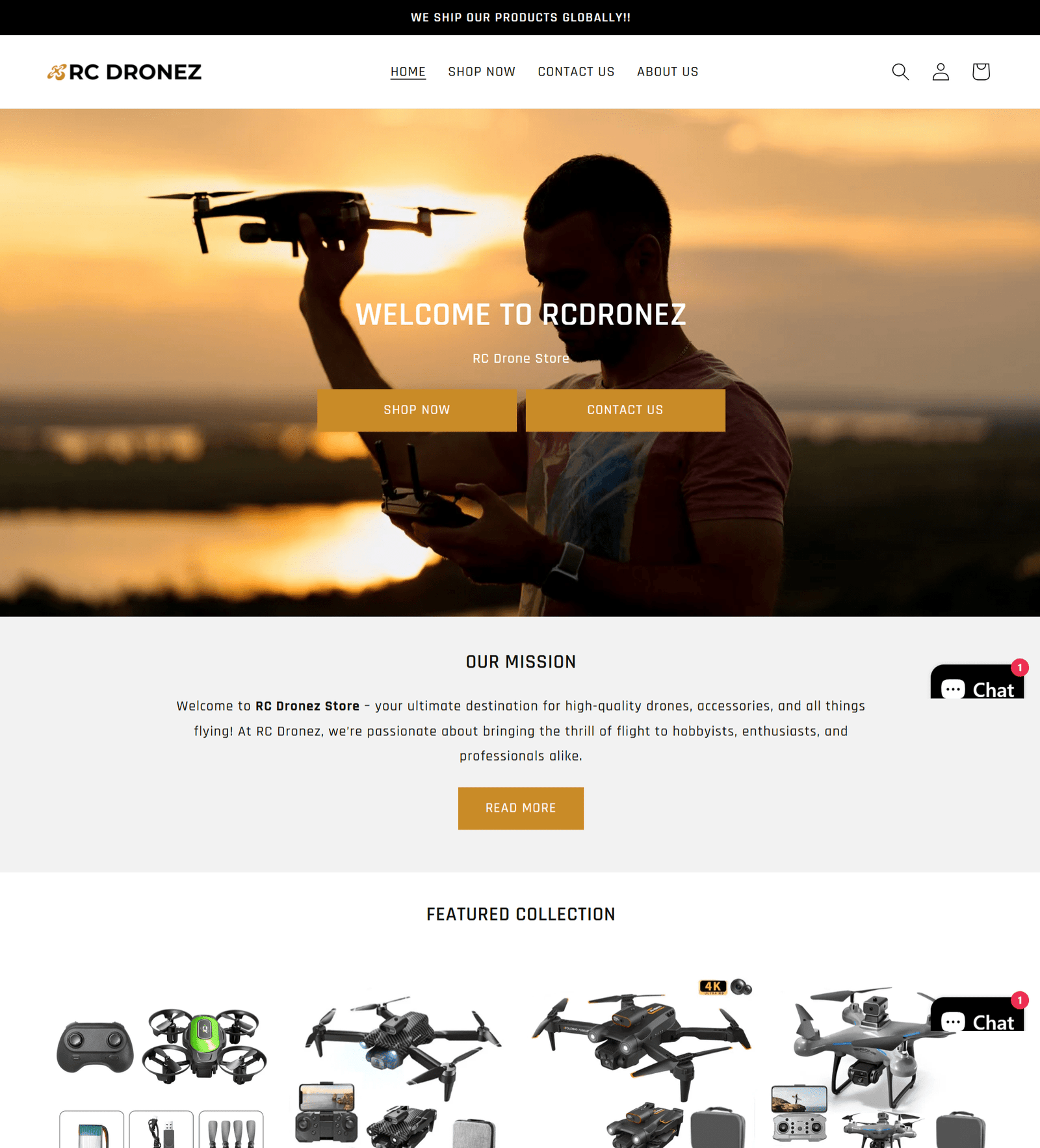 Shopify Dropshipping Store For Sale