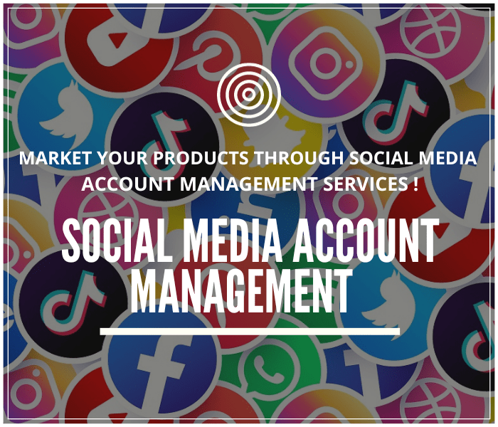 Social Media Accounts Management ( 30 Days Service Duration)